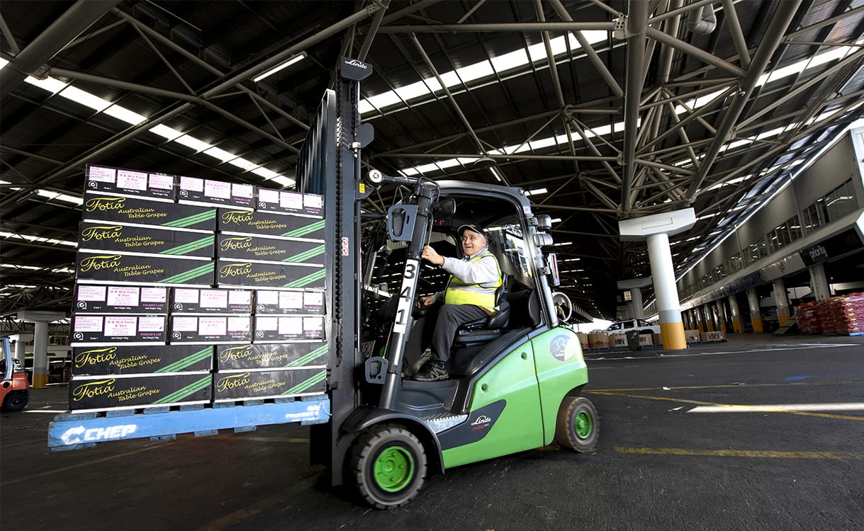 United Lettuce Tony Spoto