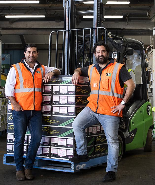 Switch to Linde bears fruit for Wholesaler 