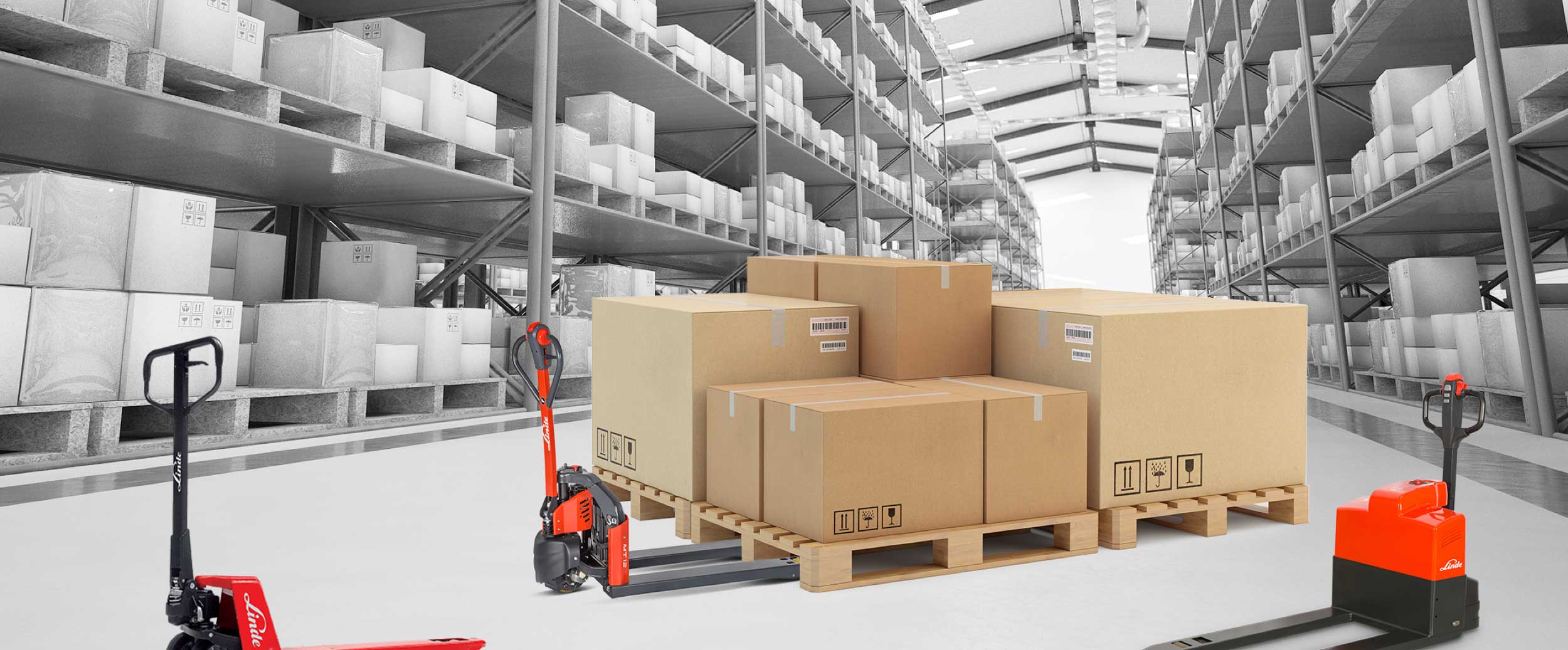 SPECIAL OFFER WHILE STOCKS LAST!